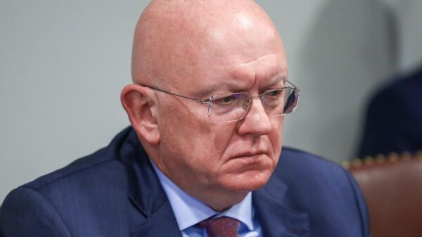 Россиянын БУУдагы туруктуу өкүлү Василий Небензя Коопсуздук кеңешинин жыйынында. Архив - Sputnik Кыргызстан