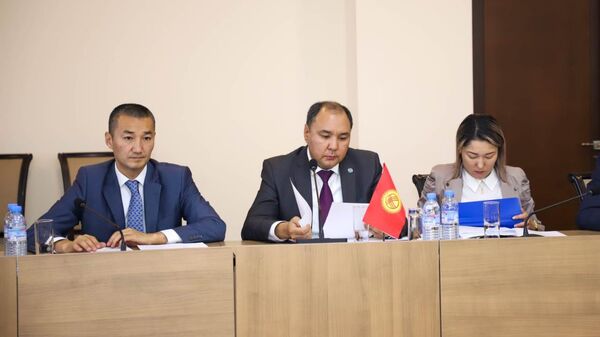 Первый заместитель министра иностранных дел КР Нуран Ниязалиев на встрече заместителей министров иностранных дел государств-членов ОДКБ в Ереване - Sputnik Кыргызстан