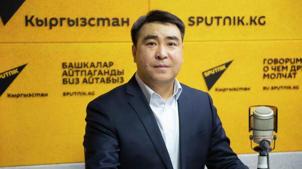 Депутат Жогорку Кенеша, лидер фракции Альянс Жанар Акаев - Sputnik Кыргызстан