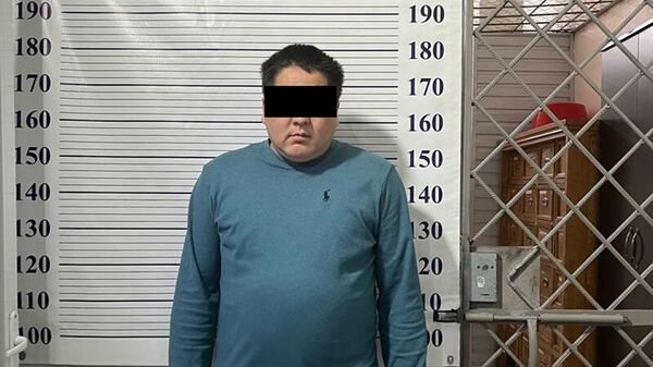 Москвада туруп мекенинде массалык башаламандыктарды уюштурууга, бийликти күч менен басып алууга чакырык жасаган кыргызстандык кармалды - Sputnik Кыргызстан