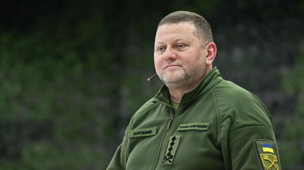 Бывший главнокомандующий Вооруженными Силами Украины Валерий Залужный - Sputnik Кыргызстан