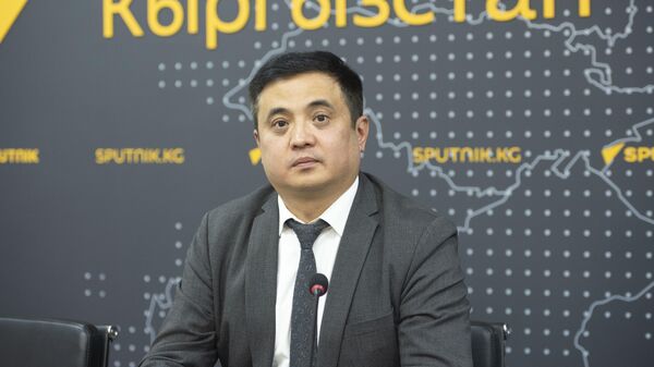 Тышкы иштер министрлигинин консулдук департаментинин директорунун орун басары Бакыт Кадыров - Sputnik Кыргызстан
