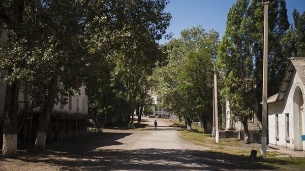 Село в Нарынской области. Архивное фото - Sputnik Кыргызстан