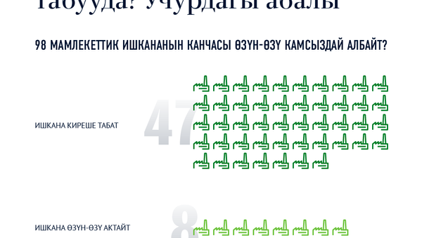 Мамлекеттик ишканалар жыл сайын канча киреше табууда? Учурдагы абалы - Sputnik Кыргызстан